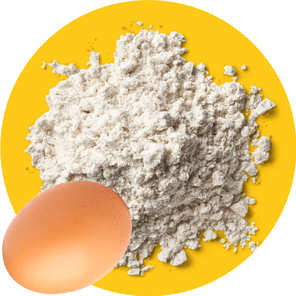 HLTH Code Protein