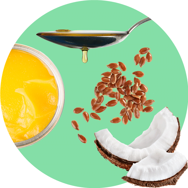 HLTH Code - Protein and Fats