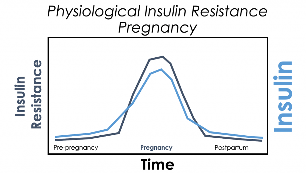 Two Types of IR Graph